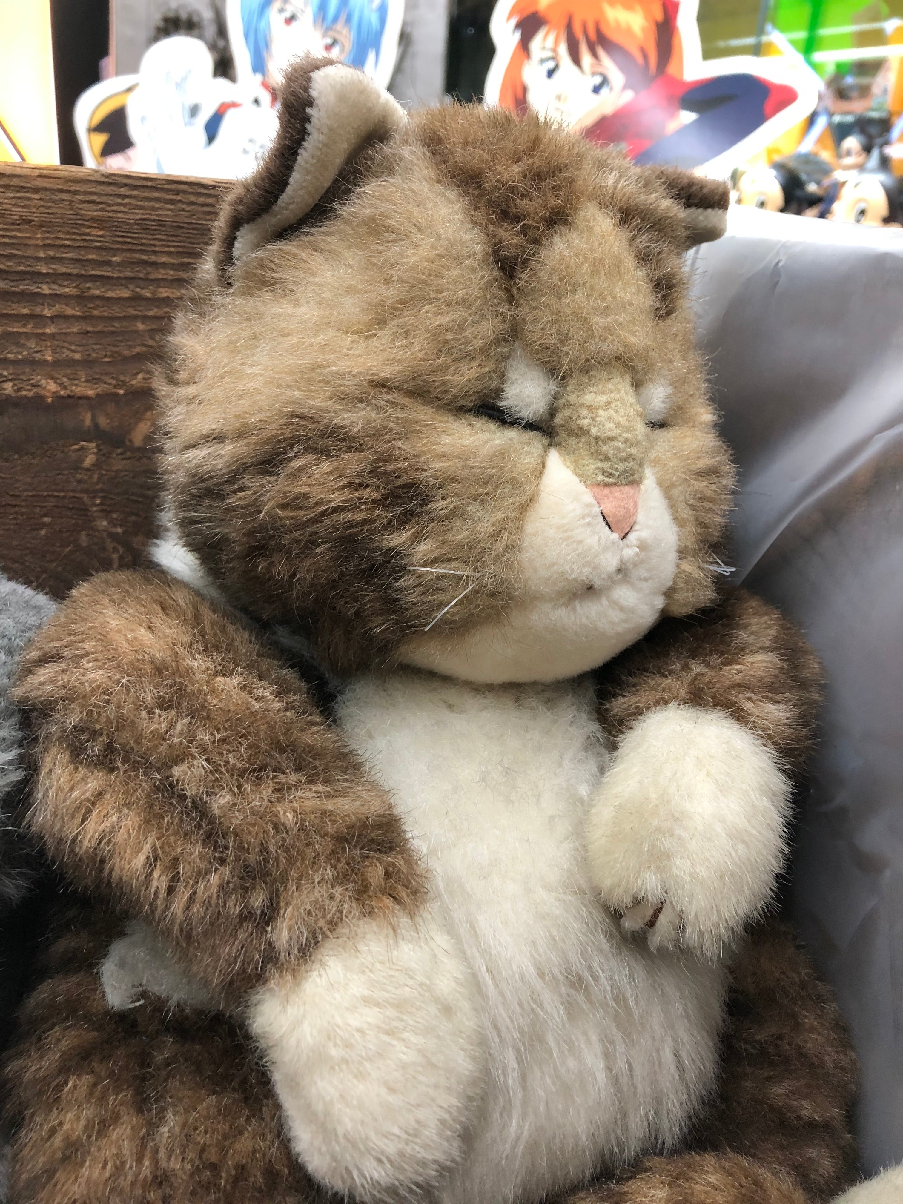 Jolly Mamma Sleeping Cat Oriental Toy in 1940’s Wooden Crate