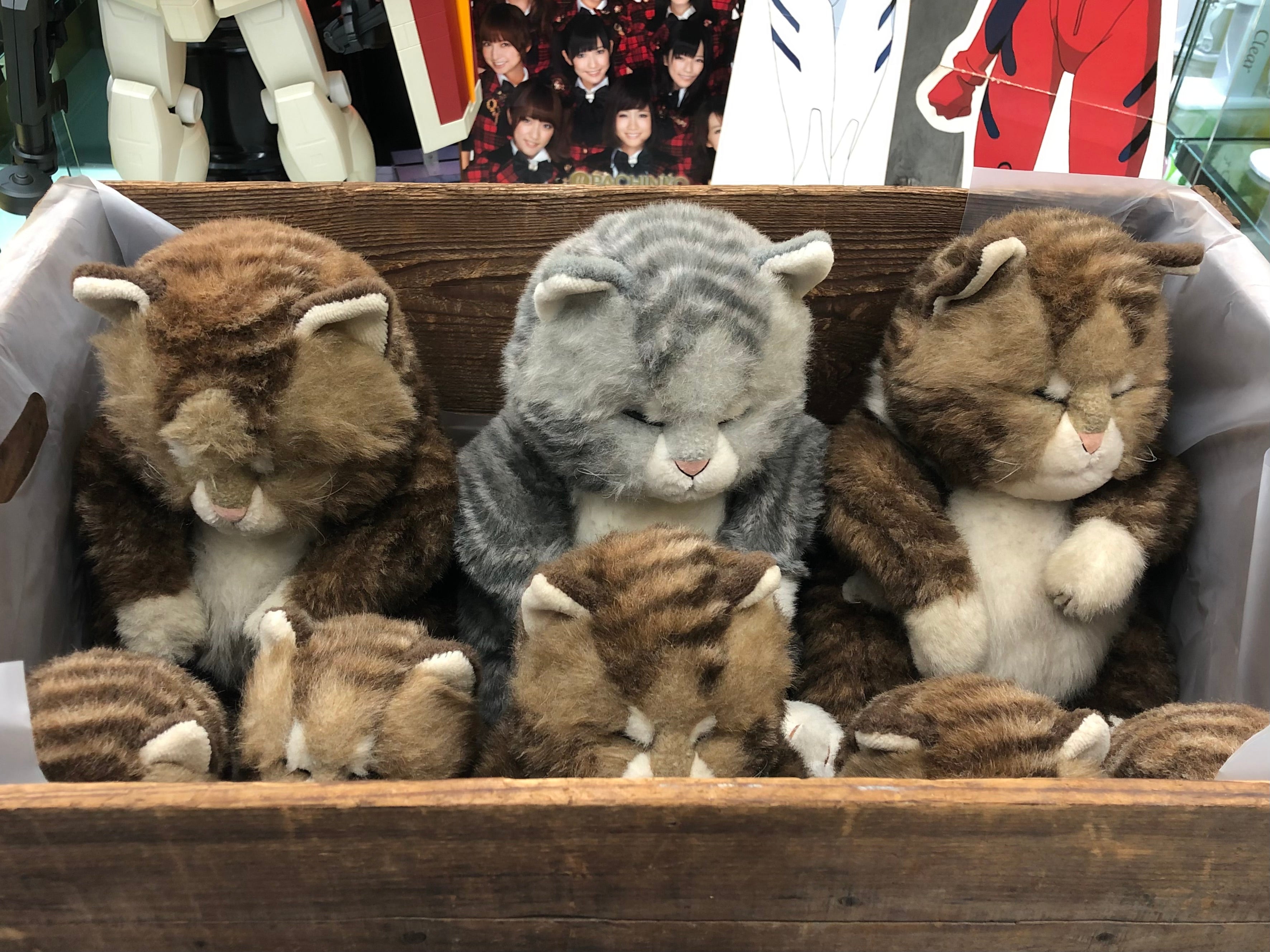 Jolly Mamma Sleeping Cat Oriental Toy in 1940’s Wooden Crate