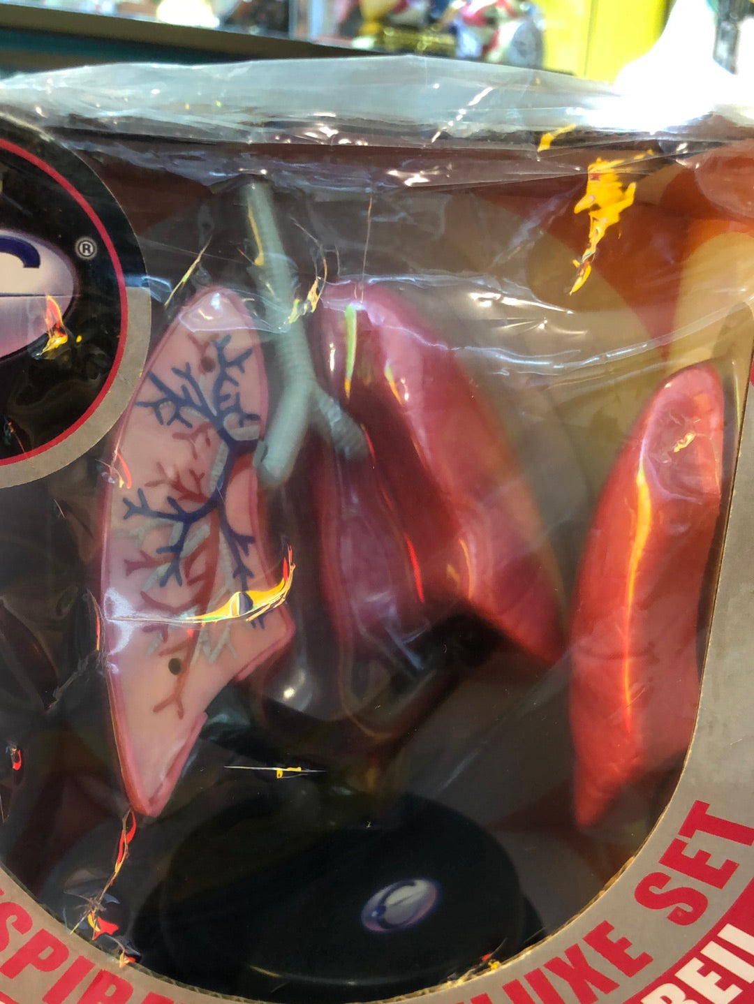 Human Science Humaine Respiratory Deluxe Set Coffret De luxe Appareil Respiratoire