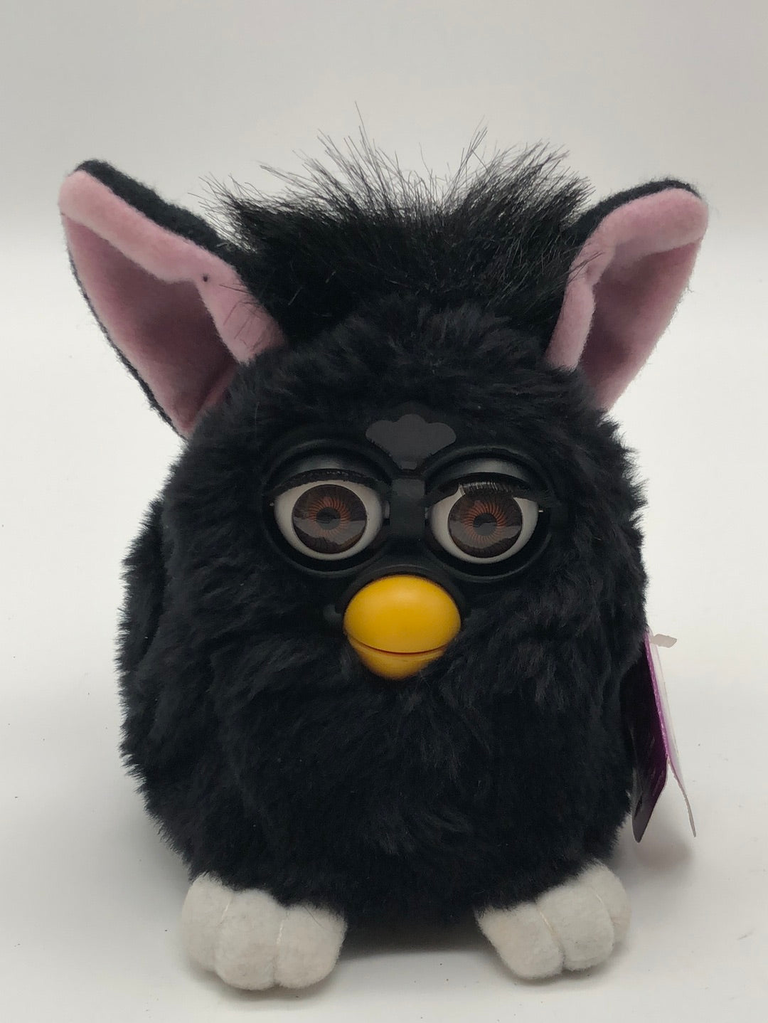 Furby Black witch’s