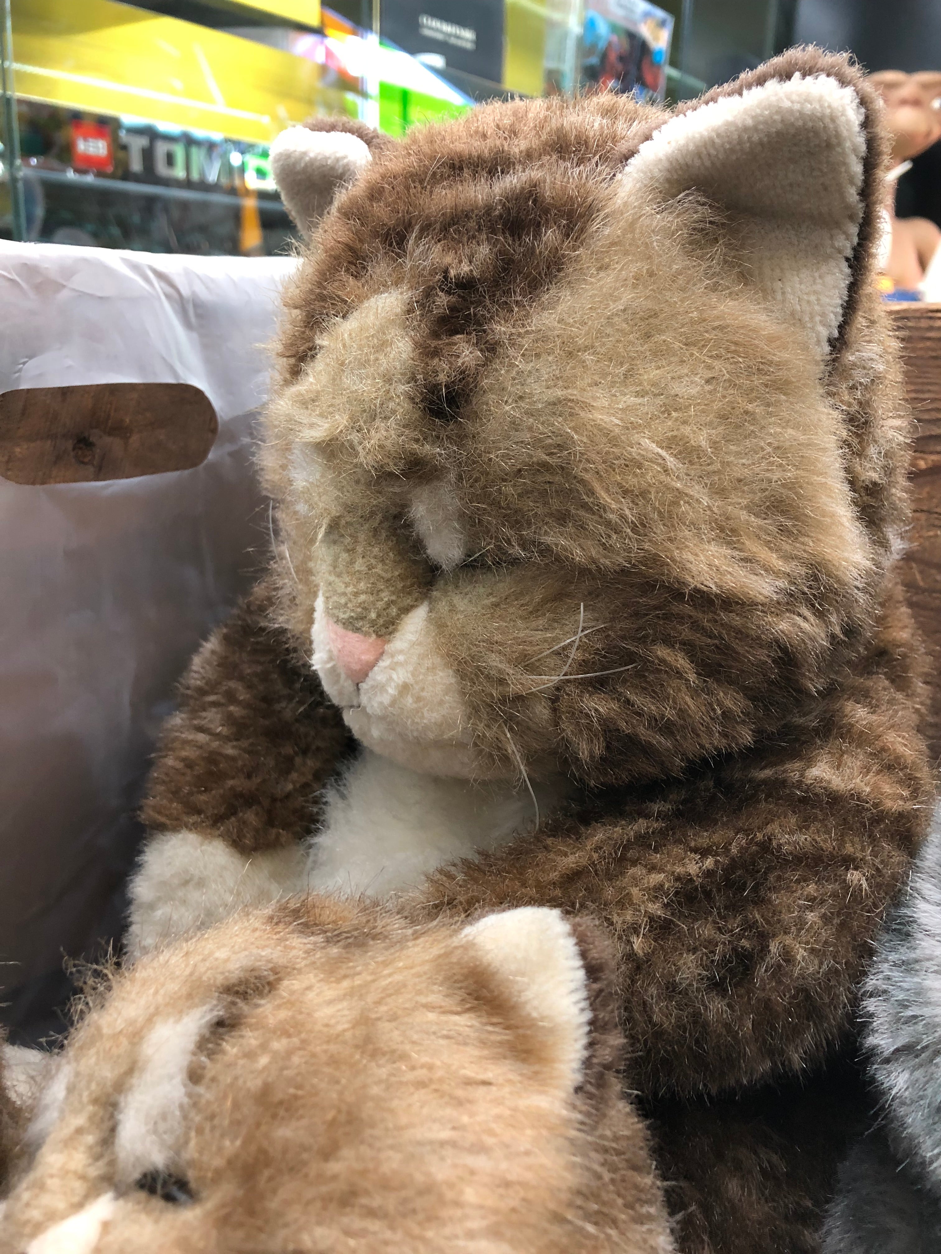 Jolly Mamma Sleeping Cat Oriental Toy in 1940’s Wooden Crate