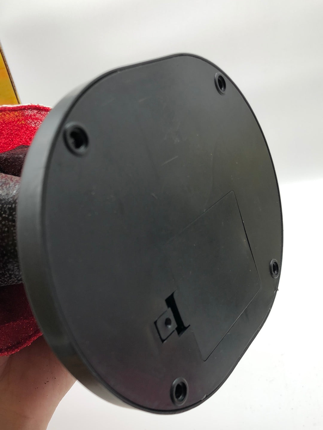 Rocking Bhangra Dancer With Microphone