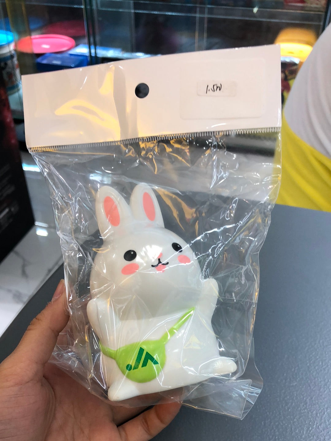 Rabbit vinyl Coin bank
