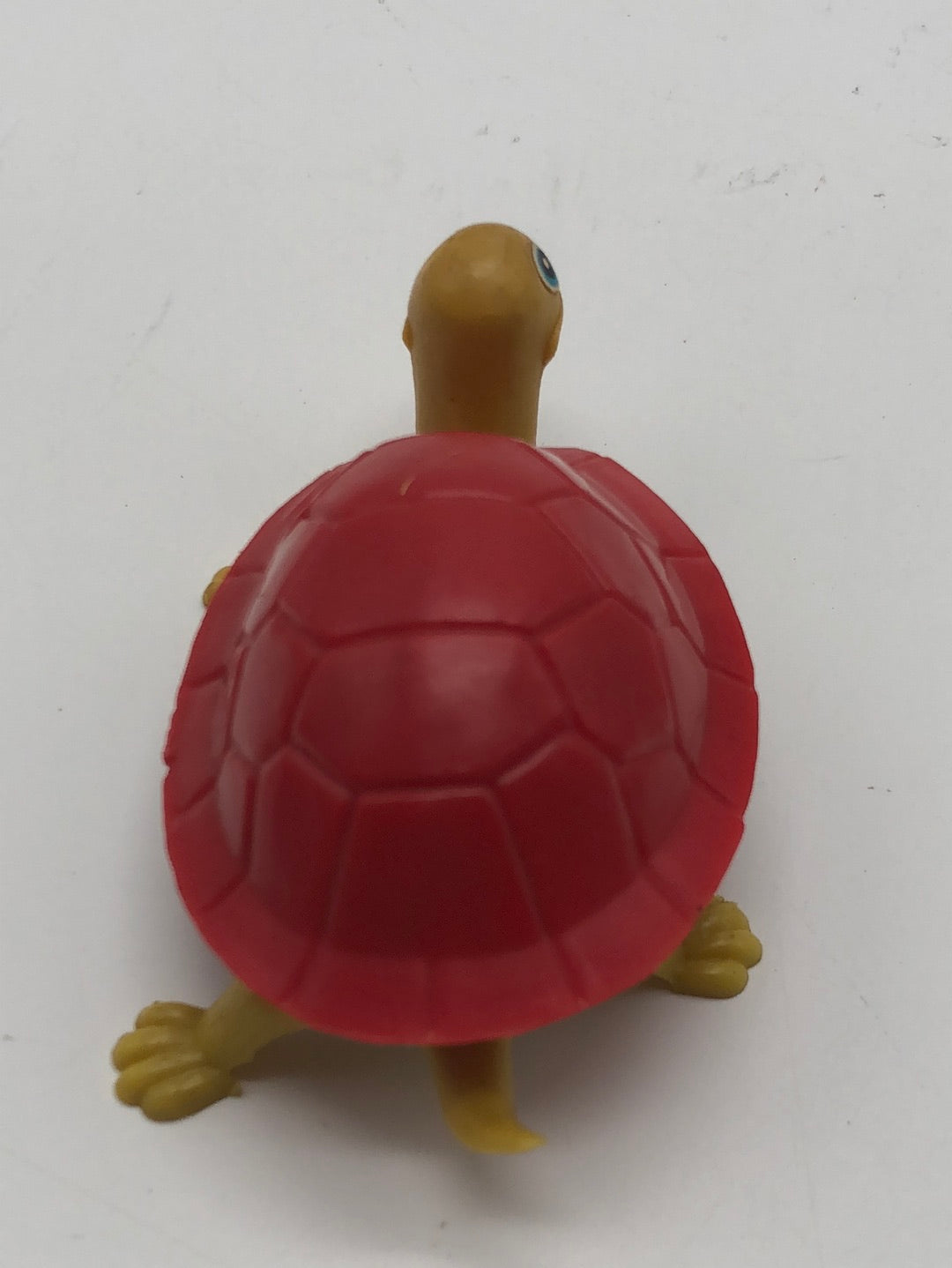Walking Turtle
