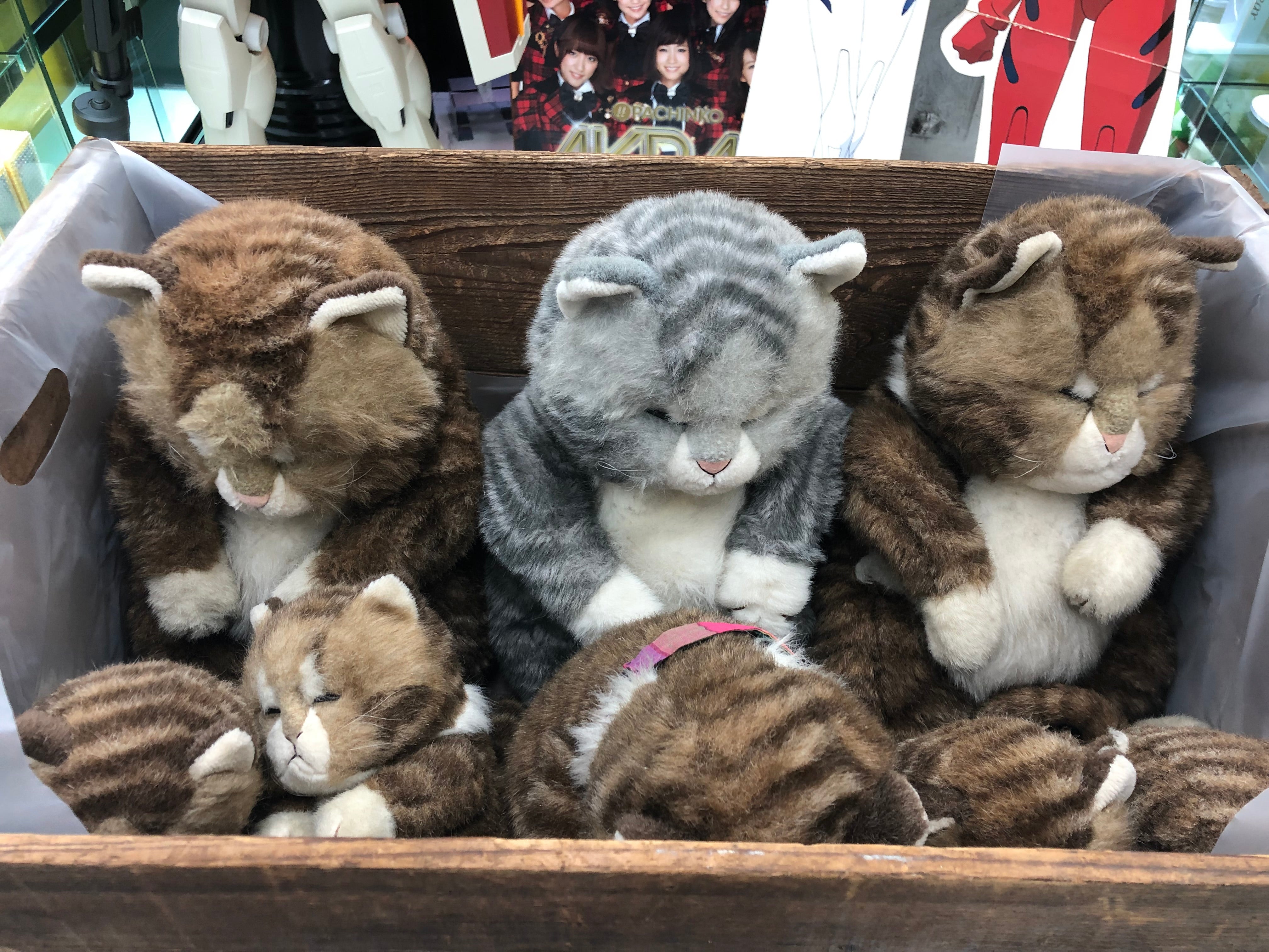 Jolly Mamma Sleeping Cat Oriental Toy in 1940’s Wooden Crate