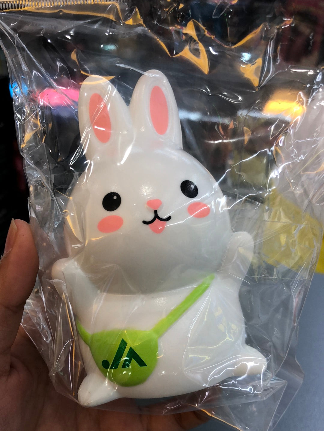Rabbit vinyl Coin bank
