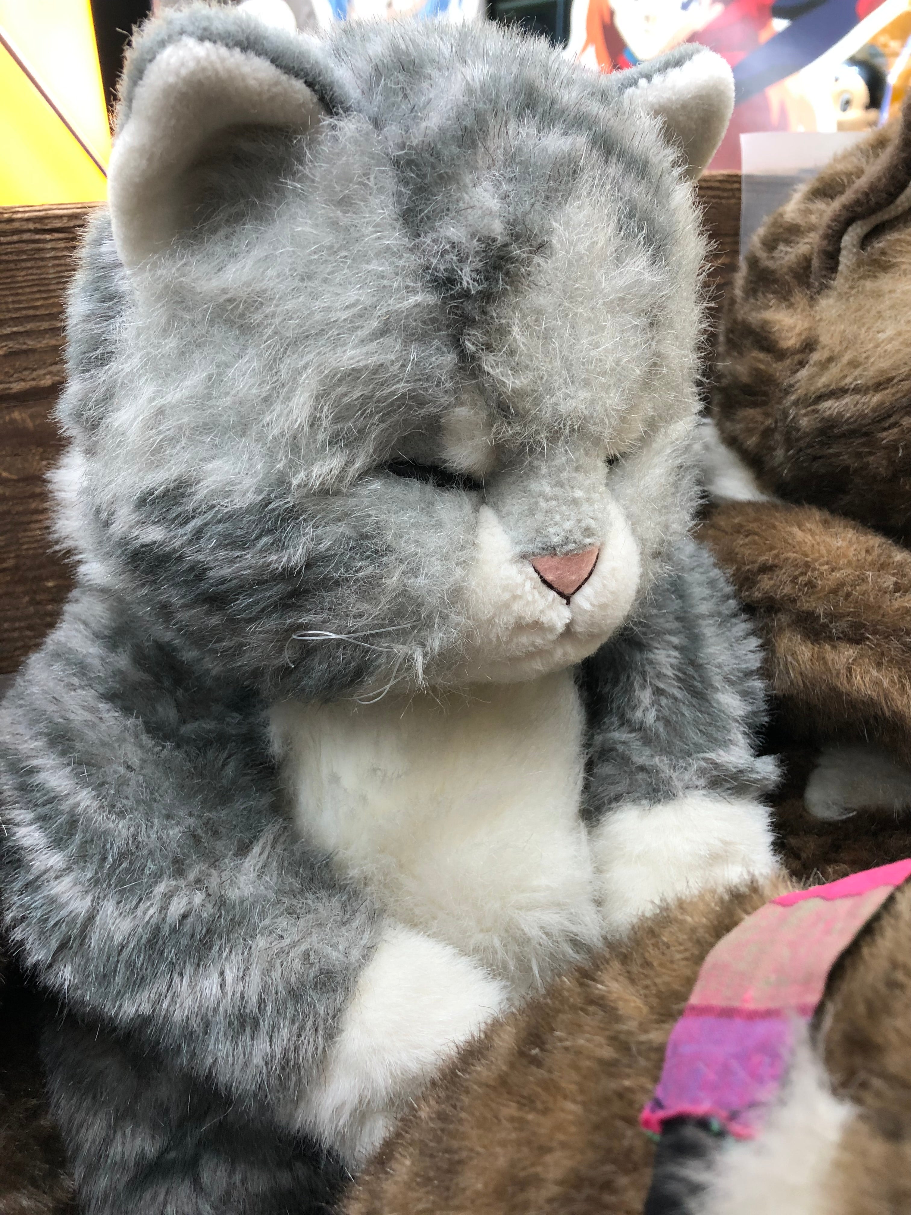 Jolly Mamma Sleeping Cat Oriental Toy in 1940’s Wooden Crate