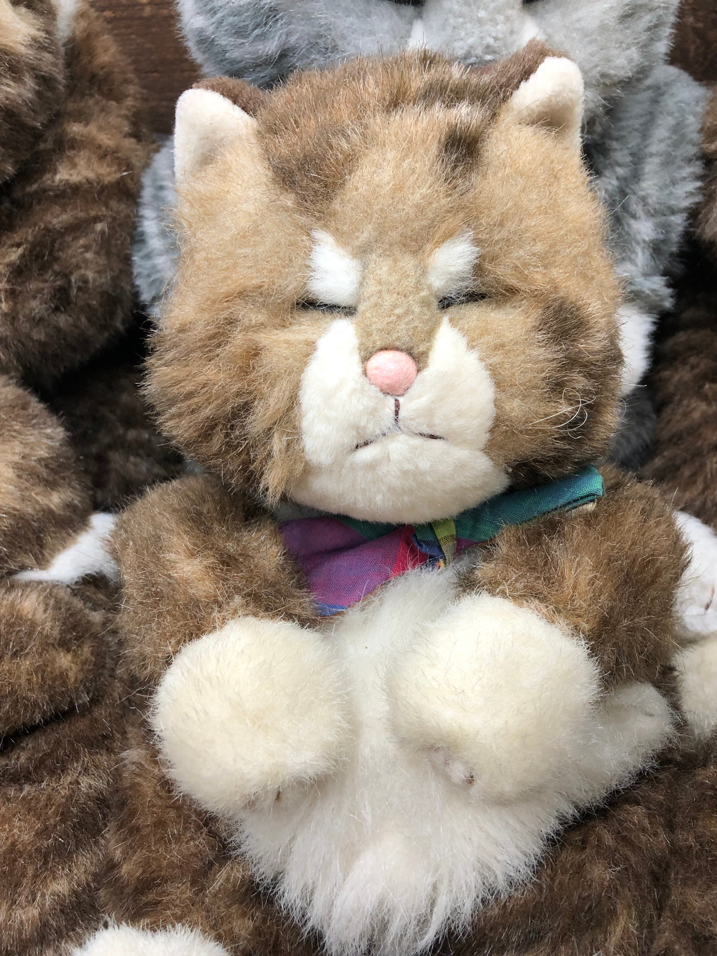 Jolly Mamma Sleeping Cat Oriental Toy in 1940’s Wooden Crate