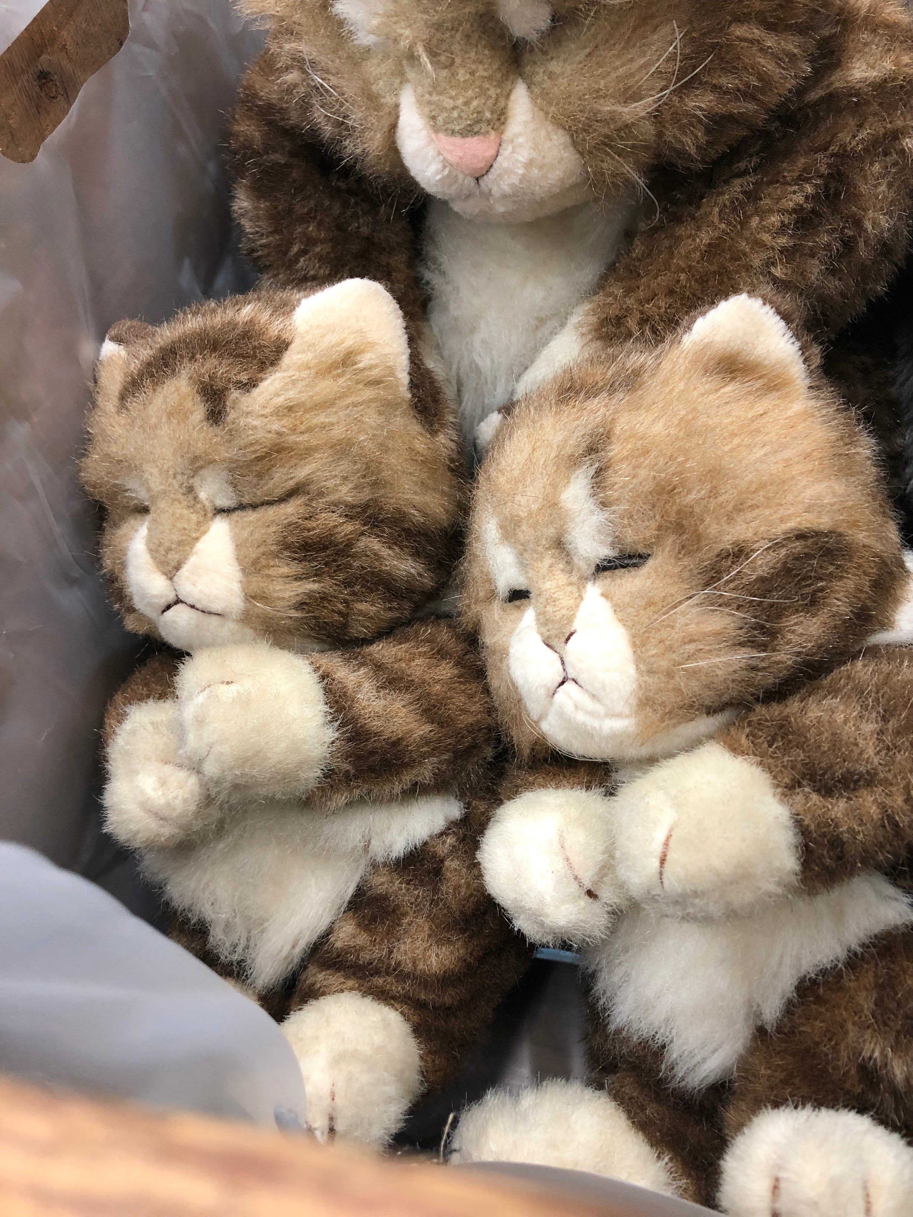 Jolly Mamma Sleeping Cat Oriental Toy in 1940’s Wooden Crate
