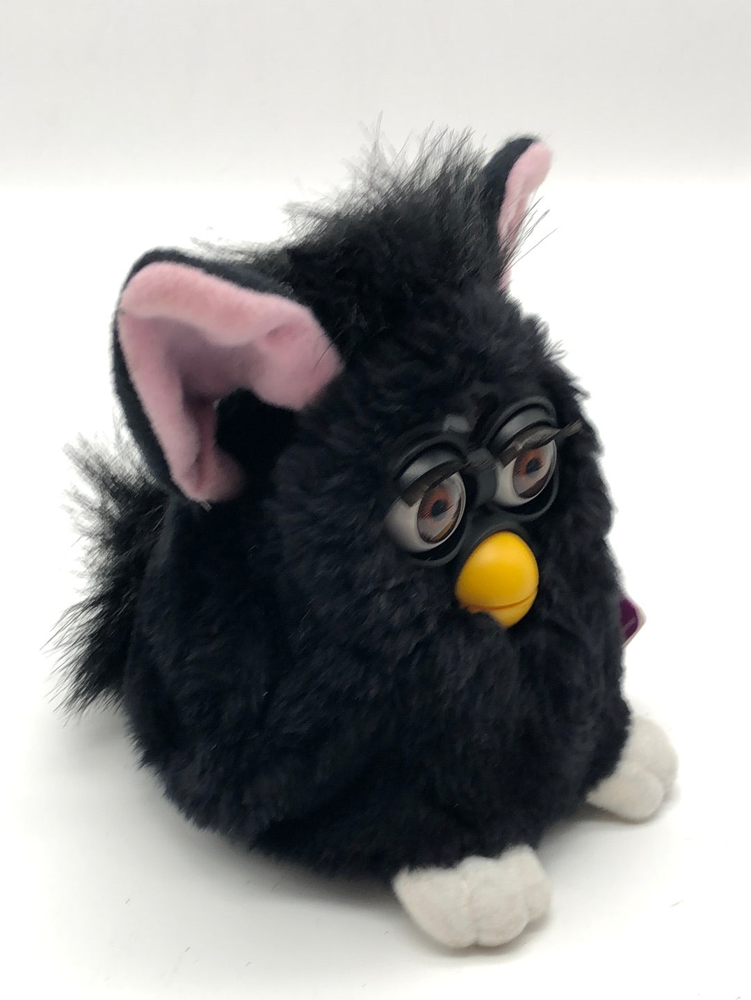 Furby Black witch’s