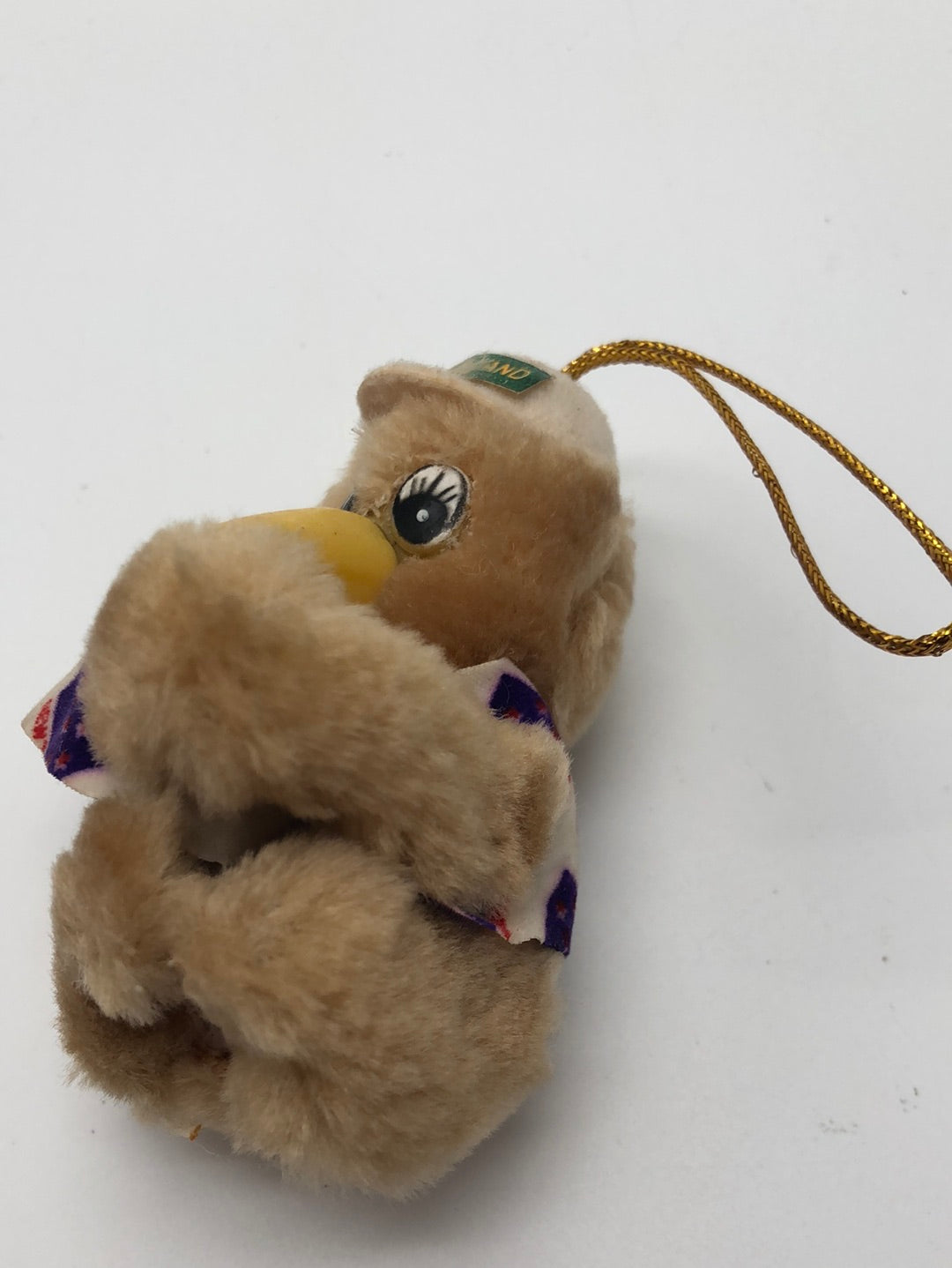 Kiwi bird Keychain