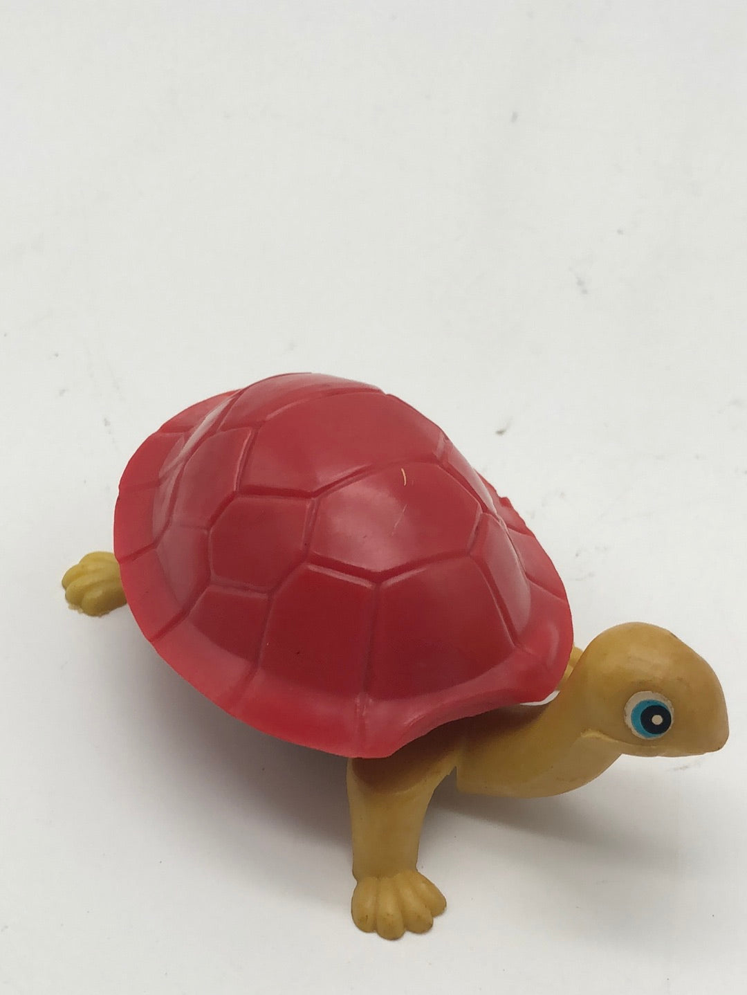 Walking Turtle