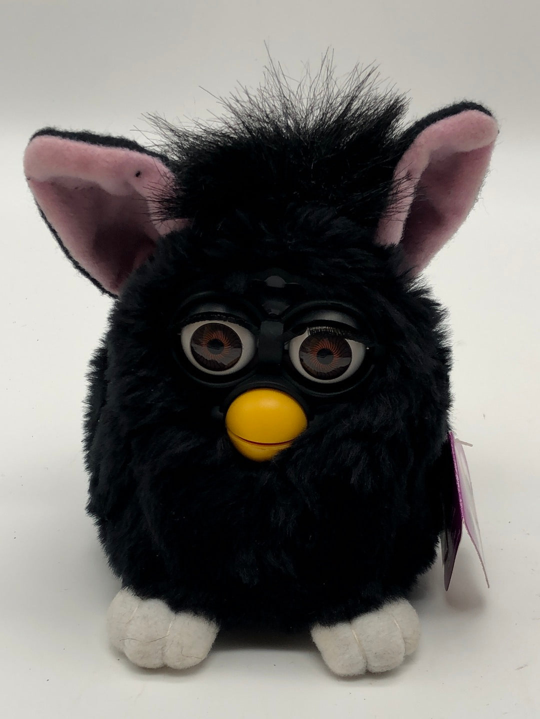 Furby Black witch’s