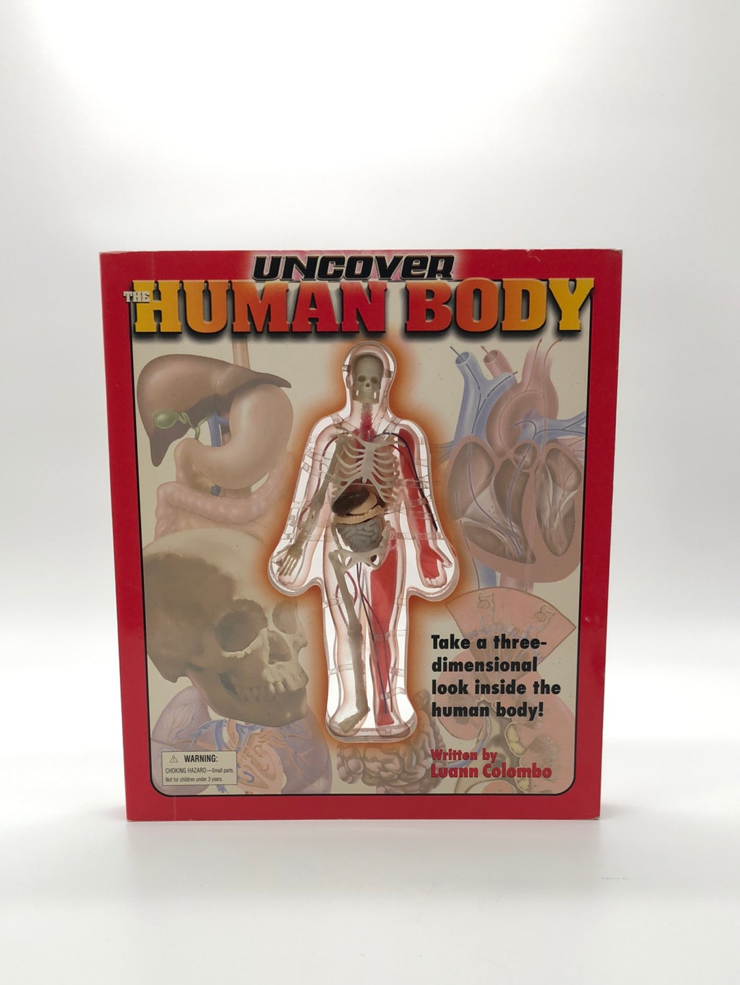 The Human Body